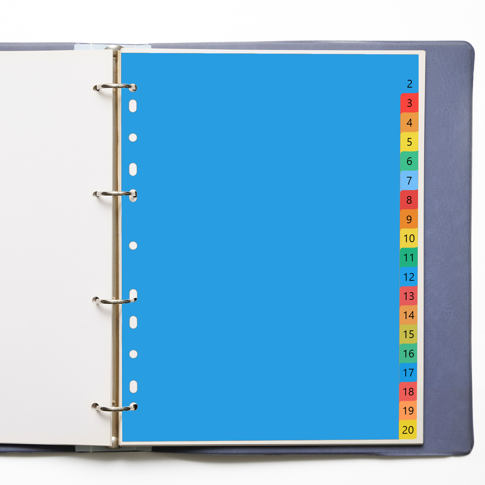 Tab Divider A4 - A4 Kleurrijke Plastic Indexbladen met Tabbladen