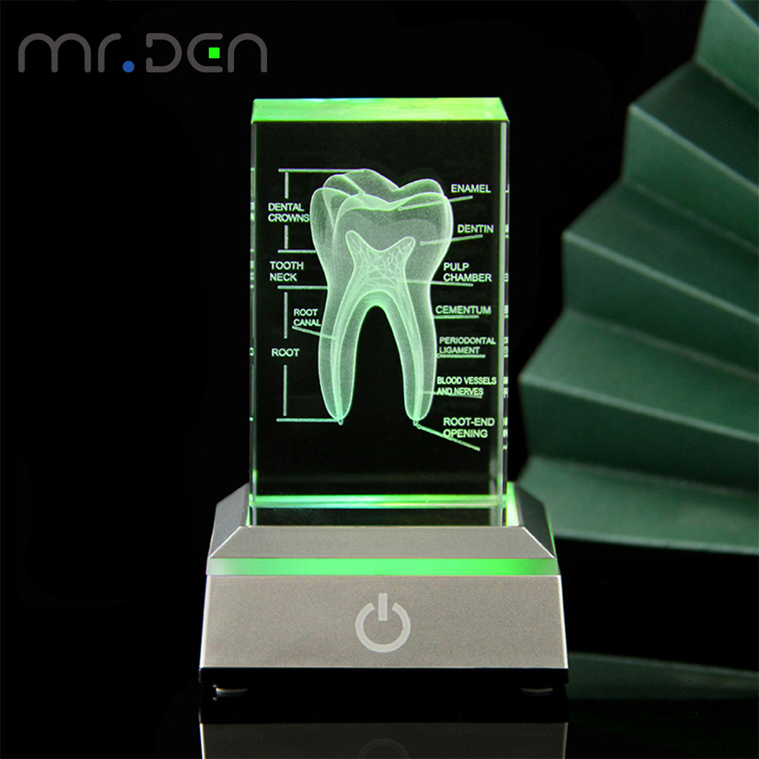 Tandheelkundige 3D Laser Gegra - Paper Weight Crystal recensie en prijs